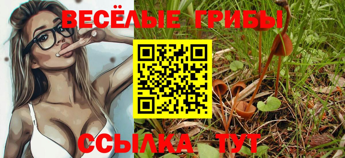Галлюциногенные грибы ЛСД Бахчисарай